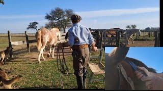 ESTANCIA TRABAJO con CABALLOS y un buen  GUISO DE FIDEOS TRADICIÓN de CAMPO