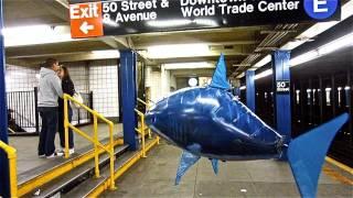 the flying shark in NYC by Casey Neistat