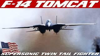 F-14 Tomcat  History Of Grumman Twin-Engine Twin-Tail Variable-Sweep Wing Fighter Aircraft