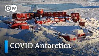 COVID-19 finally reaches Antarctica  Coronavirus Update