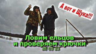 Ловим ельцов и проверяем крючки 28 03 23