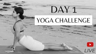 DAY 1  Traditional Hatha & Sun Salutations  Yoga Challenge For All