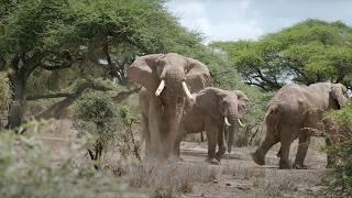 Chyulu Hills Kenya Big Life in the Wild S1. E2 THE GOOD ROAD