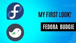 Fedora 39 Budgie - My First Look