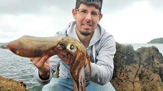 LAND BASED SQUID FISHING MELBOURNE Mt Martha Cliffs