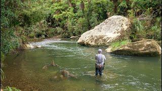 Incredible Fly Fishing for BIG Rainbow Trout in a Stunning River