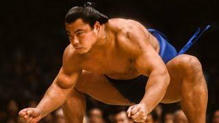 Chiyonofuji MitsuguThe Legendary Wolf Of Sumo