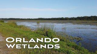 4K Orlando Wetlands Park