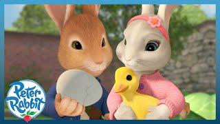 @OfficialPeterRabbit- EGG-citing Easter Adventures & Hunts With Friends 2024   Cartoons for Kids