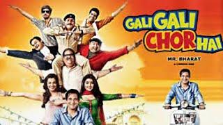 Gali Gali Chor Hai  ThiefIndian Full MovieComedy DramaHD 2012处处有贼Akshaye Khanna Shriya Saran
