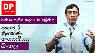 පාඩම 5 - ත්‍රිකෝණ අංගසාම්යය  ගණිත සැසිය සඳහා 10 ශ්‍රේණිය  #DPEducation #Grade10Maths #Triangles