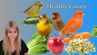 Feeding Canaries for Optimal Health
