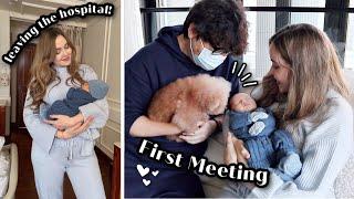 Leaving The Hospital & Our Dog Meets Our Baby For The First Time  Vlog