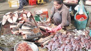 Fresh viral foods meats fish sell in the Takhmao Thmey market