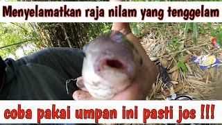 memancing ikan nilem di sungai yang susah makanan pakai umpan ini dijamin#Petualangbalicenel