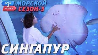 Сингапур. Орёл и Решка. Морской сезонПо морям-3 Russian English subtitles