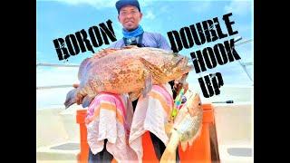 BORON DOUBLE HOOK UP WITH JENAB AT JARAK WITH LEBAI MAEL  INSANG MERAH