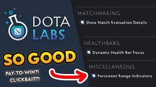 The best Dota Labs settings to improve your game