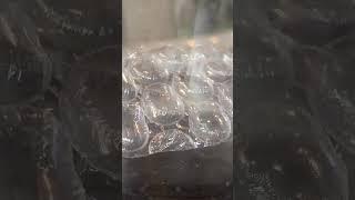 What BUBBLE WRAP Does in a Vacuum Chamber