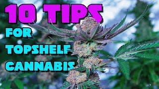 10 Tips for Growing Top Shelf Weed How to Grow High-Quality Cannabis