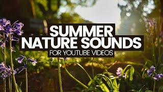 Nature Sound Effects For YouTube Videos No copyright Royalty-free audio