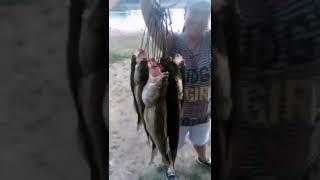 Рыбалка на Ахтубе
