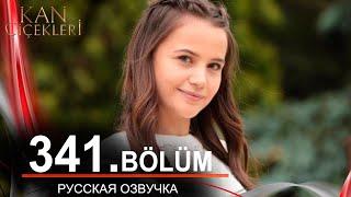 Кровавые цветы 341 на русском языке. Новый турецкий сериал  обзор