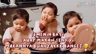 AJARIN ANAKKU BLW LAHAP MAKAN SENDIRI ️