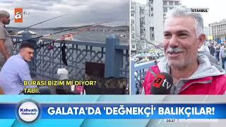 Galata Köprüsünde balık tutanlardan haraç alıyorlar