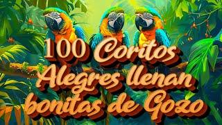 Coros Viejitos Pero Bonitos - Coros Pentecostales - Mas De 100 Coros Avivamiento Pentecostal