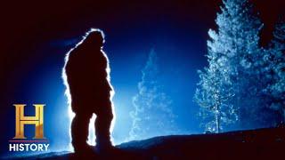 The Proof Is Out There Father & Son Capture EERIE Footage of BIGFOOT? Season 4