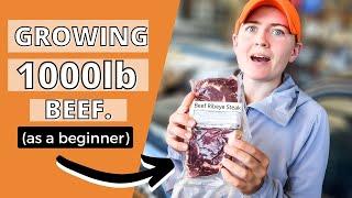 I GREW 1000lb OF GRASS-FED BEEF AS A BEGINNER  How to raise feeder steers for meat as a beginner