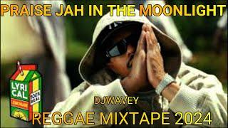 YG MARLEY PRAISE JAH IN THE MOONLIGHT REGGAE MIXTAPE CLEAN 2024  SKIP MARLEY ROMAIN VIRGO CHRONIXX