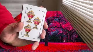 ACUARIO 7 AL 31 JULIO 2024  HOROSCOPO HOY TAROT