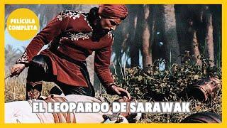 El leopardo de Sarawak  Aventura  Película Completa en Español