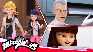 MIRACULOUS   COMPILATION 7 - SEASON 5   Tales of Ladybug & Cat Noir