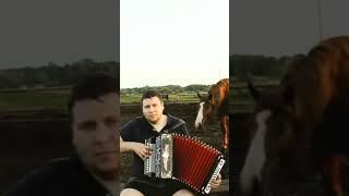 Любэ - Конь. #гармонь #музика #топ #folk #музыка#accordion#