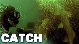 Goonch Catfish Safari with Jeremy Wade  River Monsters Catch