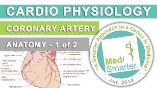 USMLE Step 1  Coronary Artery Anatomy  Part 1 of 2