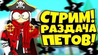 ⭐Стрим раздача петов⭐