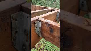 Pressure Treated wood vs non treated wood used on a deck 22