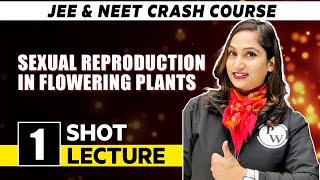 Sexual Reproduction In Flowering Plants - One Shot Lecture  CHAMPION - NEET CRASH COURSE 2022