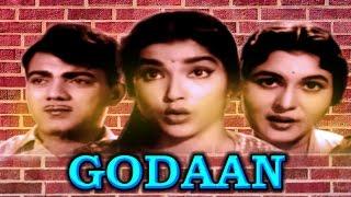 Godaan Hindi Full Movie  Bollywood Full Movie  Hindi Super Hit Cinema