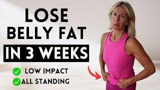 Lose Stubborn Belly Fat In 3 Weeks  Low Impact Home Workout