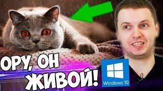 ПАПИЧ УСТАНОВИЛ ЖИВЫЕ ОБОИ ДЛЯ WINDOWS 10 на Рабочий стол