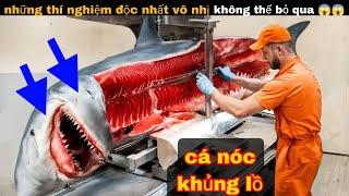 Thí Nghiệm Thú vị cực độc lạ của anh bảy  review giải trí