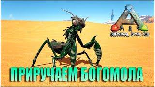 ARK Survival Evolved DSS Relax PVE ru Остров x5 Стимпанк Стрим № 4  @@  ПРИРУЧАЕМ БОГОМОЛА  @@