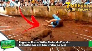 Pega do Porco 2019 - Tradicional  Festa do trabalhador em São Pedro do Ivaí