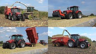 Mais hakselen bij melk en pluimveebedrijf De Kooyen met Claas Jaguar 860 en Case IH trekkers 2022