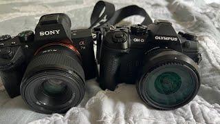 Sony vs Olympus How Important Is Stabilization for Video?